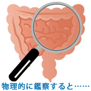 腸を物理的に観察すると