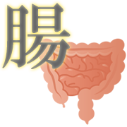 腸