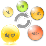 醍醐イラスト