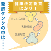 発酵タンクの中は・・