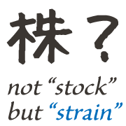 strain