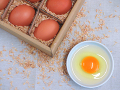 eggs