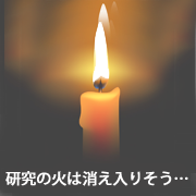 lamplight