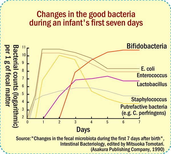babies,good bacteria,change