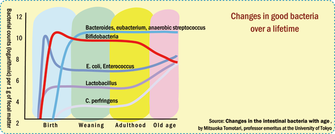 aging,gut flora,change