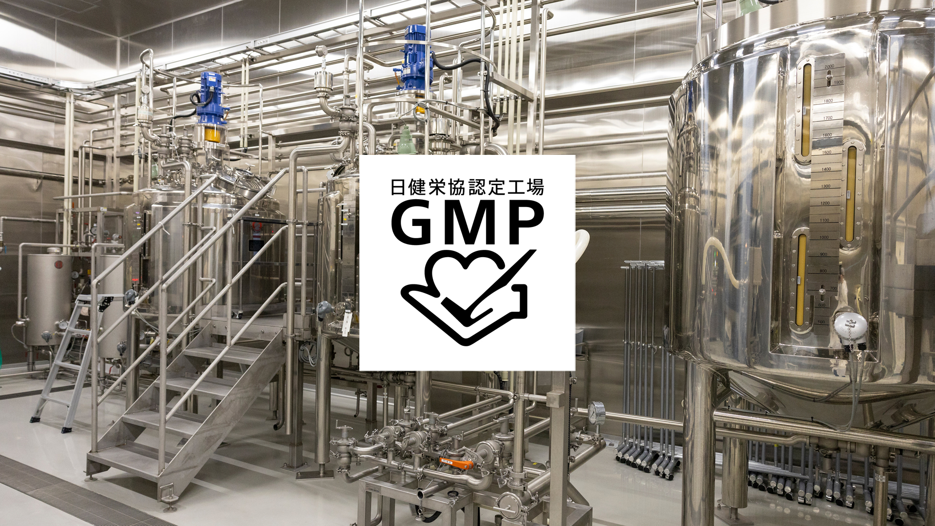 乳酸菌生産物質,工場,GMP